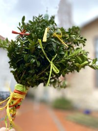 PALMZWEIG - Sylvio Krüger - pfarrbriefservice