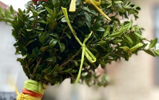 PALMZWEIG - Sylvio Krüger - pfarrbriefservice